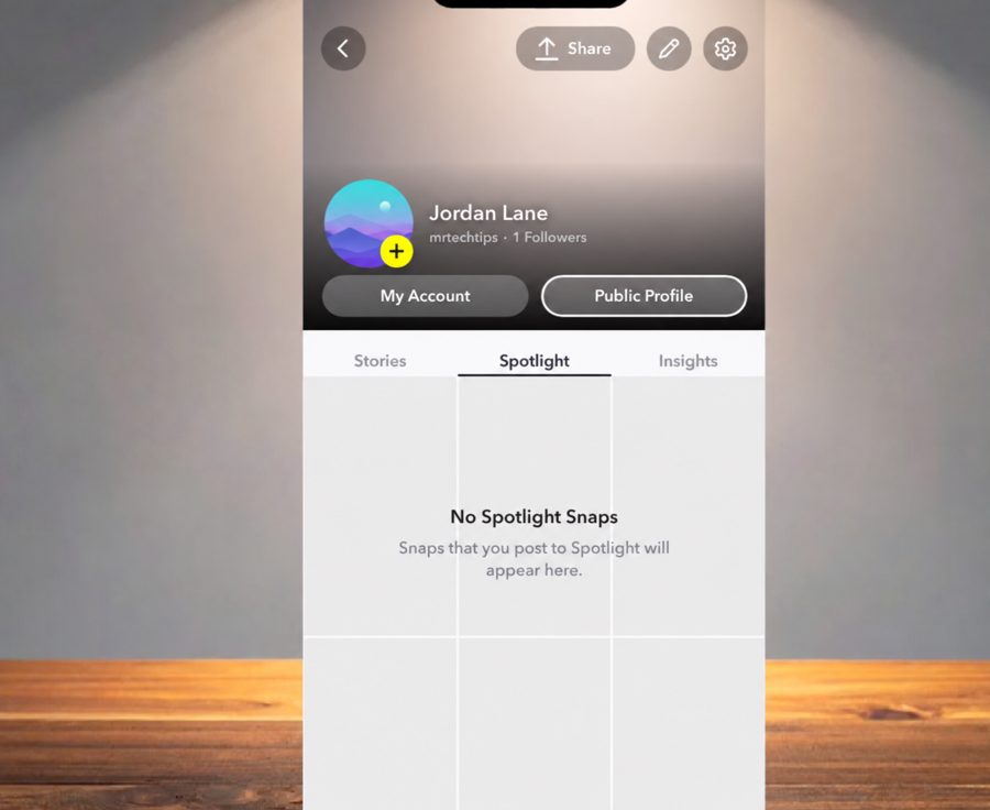 Illustration of a Snapchat profile screen with My Account and Public Profile buttons above Stories, Spotlight and Insights
